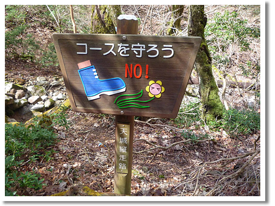 2009-03-21_09-20-23
