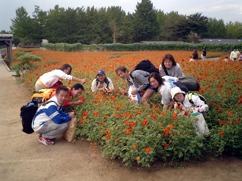 キレイなお花畑でパチリ。