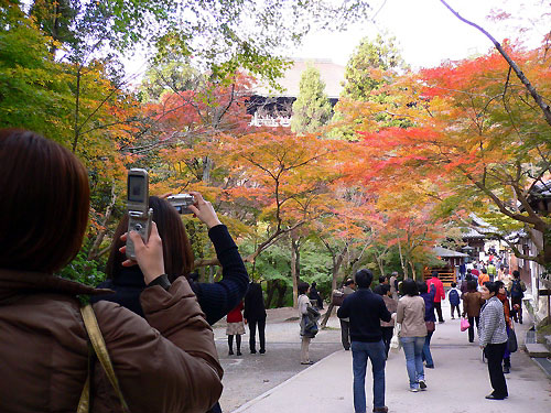 携帯で写す人の多いこと。