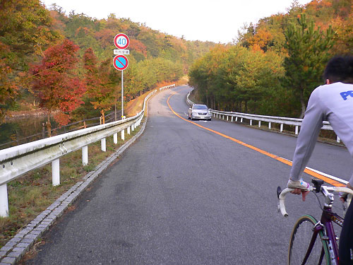 それほど紅葉してない道。