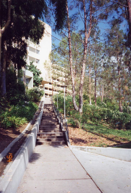 ucla241